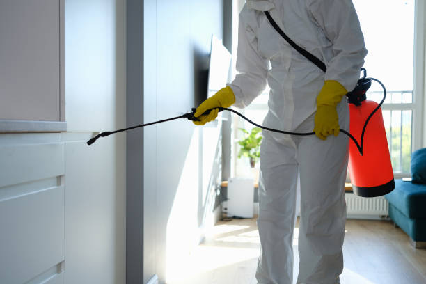 Best Commercial Mold Remediation in Port Reading, NJ